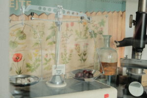 na obrázku jsou lékárenské staré váhy a porovnávají tabletový vitamín C a šípek sušený